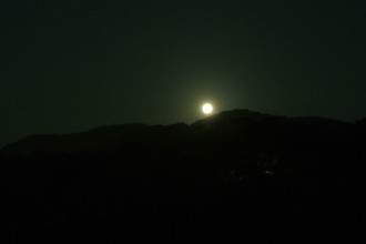 DSC_3549